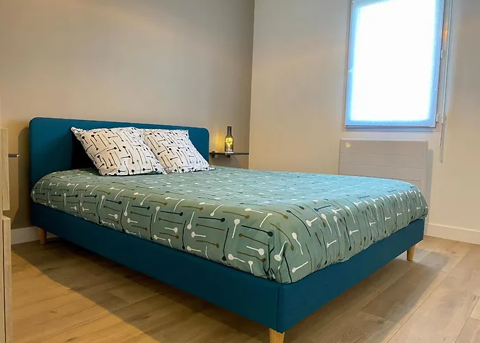 Renove Au Coeur Du Vignoble Nantais, Proche Hellfest, Terrasse, Jardin Clos, Parking, Velos A Dispo - Fr-1-306-1230 *